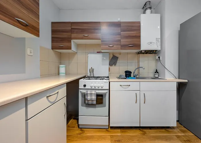 Apartment Trzebnicka Spacious By Bookinghost *